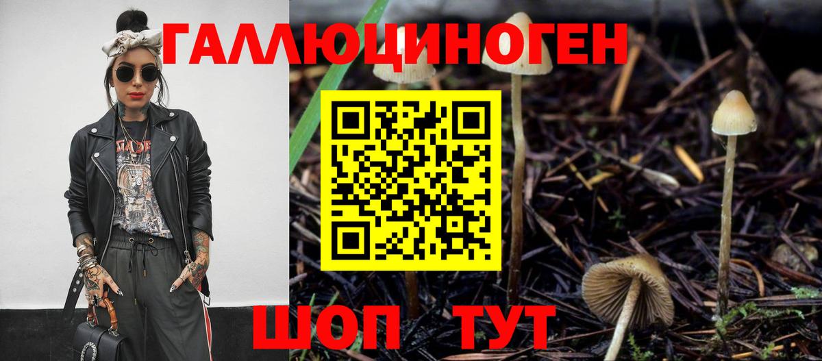 Екатеринбург  Псилоцибиновые грибы Psilocybe  Вход с VPN 